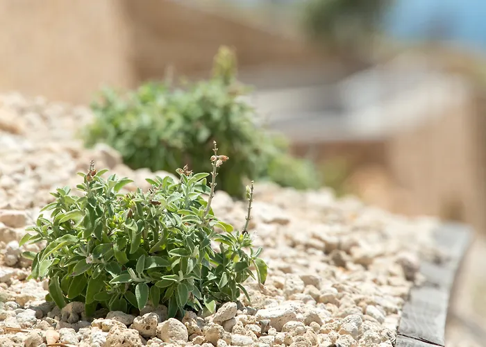 Отель Santorini Heights 4*